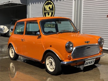 ROVER MINI1000