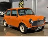 ROVER MINI1000写真1